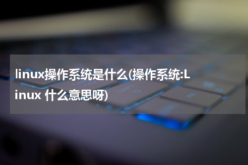linux操作系统是什么(操作系统:Linux 什么意思呀)