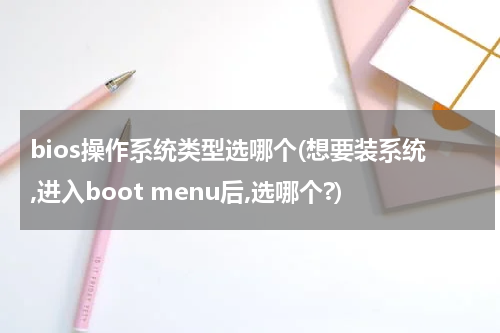 bios操作系统类型选哪个(想要装系统,进入boot menu后,选哪个?)