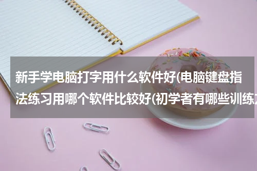 新手学电脑打字用什么软件好(电脑键盘指法练习用哪个软件比较好(初学者有哪些训练方法))