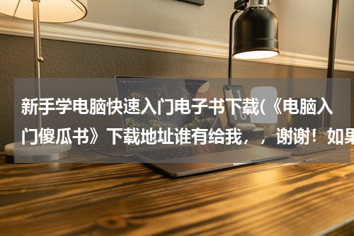 新手学电脑快速入门电子书下载(《电脑入门傻瓜书》下载地址谁有给我，，谢谢！如果有电脑组装，开机组装什么的计算机书籍下载地址更好啦)
