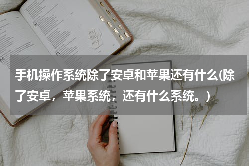 手机操作系统除了安卓和苹果还有什么(除了安卓，苹果系统，还有什么系统。)