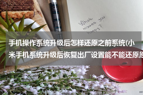手机操作系统升级后怎样还原之前系统(小米手机系统升级后恢复出厂设置能不能还原原来的系统)