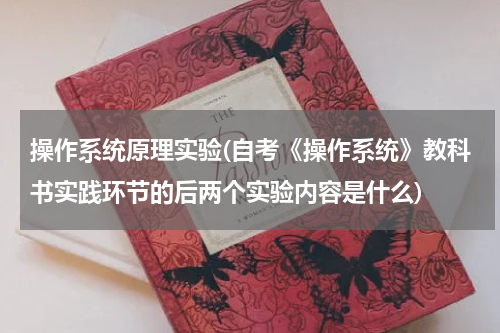 操作系统原理实验(自考《操作系统》教科书实践环节的后两个实验内容是什么)
