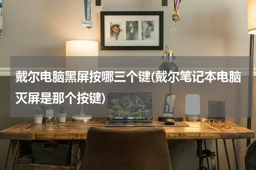戴尔电脑黑屏按哪三个键(戴尔笔记本电脑灭屏是那个按键)