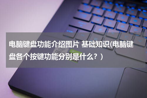 电脑键盘功能介绍图片 基础知识(电脑键盘各个按键功能分别是什么？)