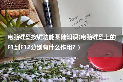 电脑键盘按键功能基础知识(电脑键盘上的F1到F12分别有什么作用？)