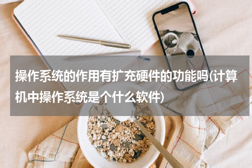 操作系统的作用有扩充硬件的功能吗(计算机中操作系统是个什么软件)