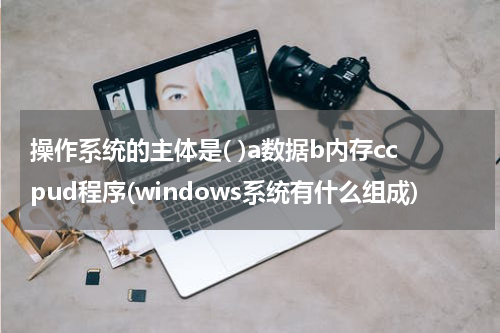 操作系统的主体是( )a数据b内存ccpud程序(windows系统有什么组成)