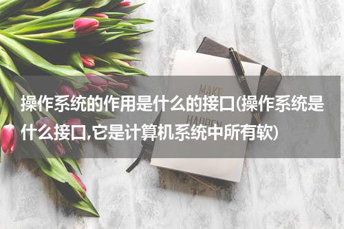 操作系统的作用是什么的接口(操作系统是什么接口,它是计算机系统中所有软)