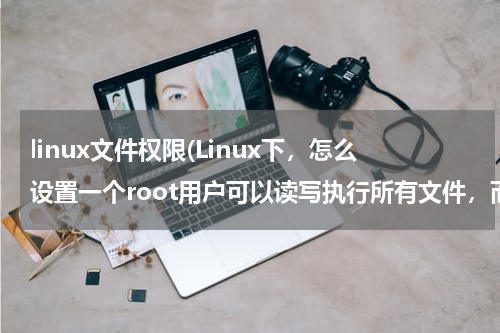 linux文件权限(Linux下，怎么设置一个root用户可以读写执行所有文件，而另外的用户识能读写执行所属文件，)
