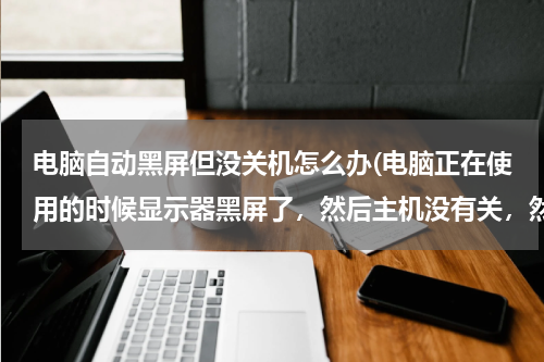电脑自动黑屏但没关机怎么办(电脑正在使用的时候显示器黑屏了，然后主机没有关，然后我按关机键，)