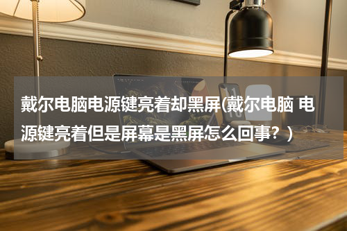 戴尔电脑电源键亮着却黑屏(戴尔电脑 电源键亮着但是屏幕是黑屏怎么回事？)