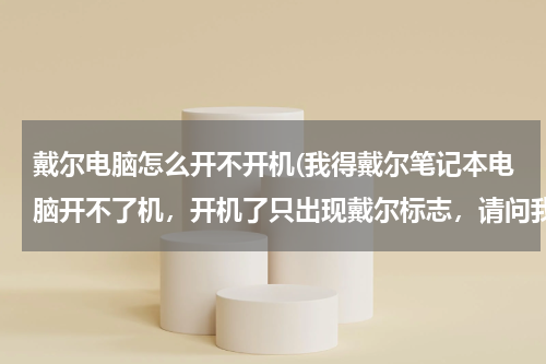 戴尔电脑怎么开不开机(我得戴尔笔记本电脑开不了机，开机了只出现戴尔标志，请问我该咋办)