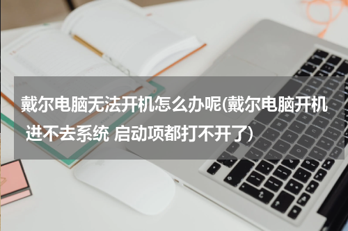 戴尔电脑无法开机怎么办呢(戴尔电脑开机 进不去系统 启动项都打不开了)