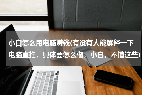 小白怎么用电脑赚钱(有没有人能解释一下电脑直推，具体要怎么做，小白，不懂这些)