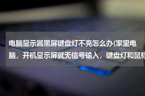 电脑显示器黑屏键盘灯不亮怎么办(家里电脑，开机显示屏就无信号输入，键盘灯和鼠标都不亮，这是怎么回)