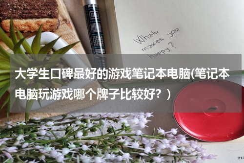 大学生口碑最好的游戏笔记本电脑(笔记本电脑玩游戏哪个牌子比较好？)