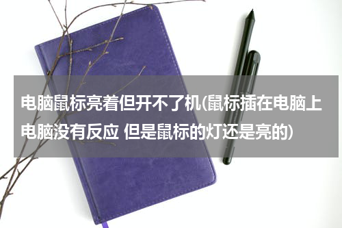 电脑鼠标亮着但开不了机(鼠标插在电脑上电脑没有反应 但是鼠标的灯还是亮的)