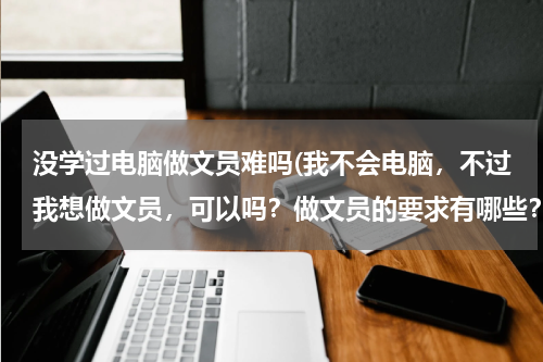 没学过电脑做文员难吗(我不会电脑，不过我想做文员，可以吗？做文员的要求有哪些？)