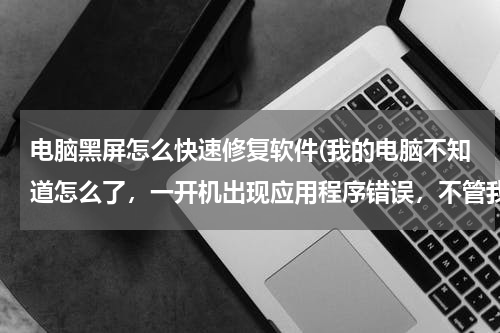 电脑黑屏怎么快速修复软件(我的电脑不知道怎么了，一开机出现应用程序错误，不管我怎么弄都黑屏不动了)