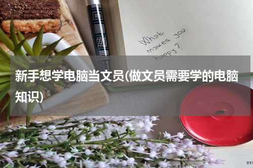 新手想学电脑当文员(做文员需要学的电脑知识)