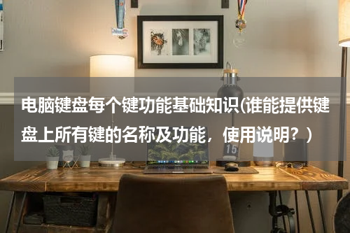 电脑键盘每个键功能基础知识(谁能提供键盘上所有键的名称及功能，使用说明？)