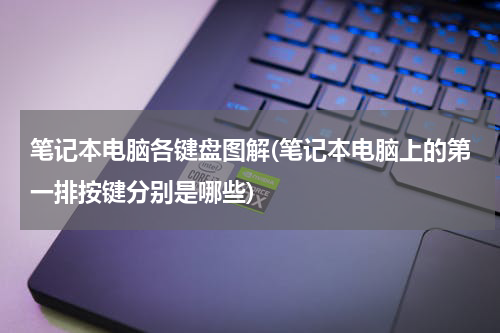 笔记本电脑各键盘图解(笔记本电脑上的第一排按键分别是哪些)