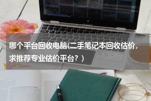 哪个平台回收电脑(二手笔记本回收估价，求推荐专业估价平台？)