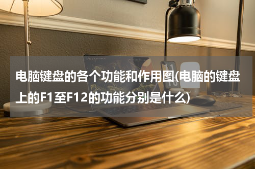 电脑键盘的各个功能和作用图(电脑的键盘上的F1至F12的功能分别是什么)