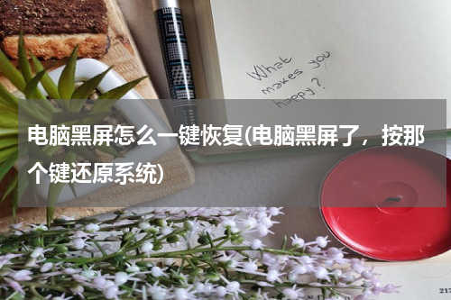 电脑黑屏怎么一键恢复(电脑黑屏了，按那个键还原系统)
