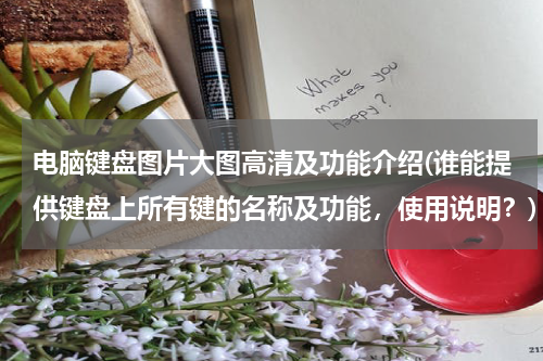 电脑键盘图片大图高清及功能介绍(谁能提供键盘上所有键的名称及功能，使用说明？)