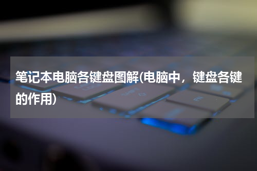 笔记本电脑各键盘图解(电脑中，键盘各键的作用)