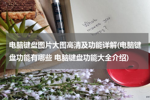 电脑键盘图片大图高清及功能详解(电脑键盘功能有哪些 电脑键盘功能大全介绍)