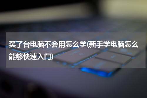 买了台电脑不会用怎么学(新手学电脑怎么能够快速入门)