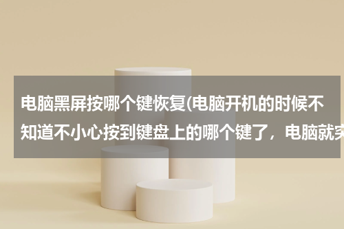 电脑黑屏按哪个键恢复(电脑开机的时候不知道不小心按到键盘上的哪个键了，电脑就突然黑屏了，怎么办？急急急……)