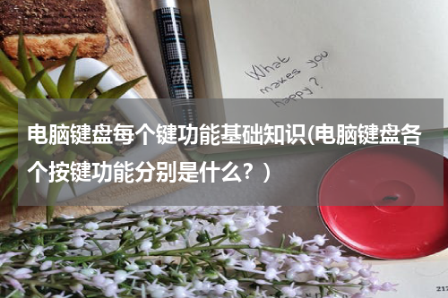 电脑键盘每个键功能基础知识(电脑键盘各个按键功能分别是什么？)