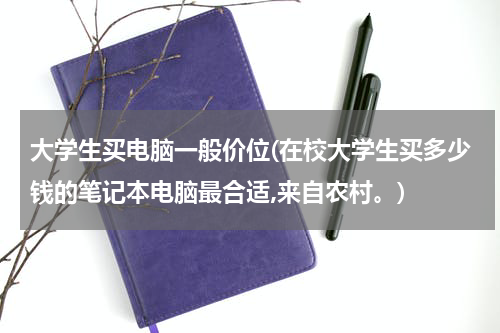 大学生买电脑一般价位(在校大学生买多少钱的笔记本电脑最合适,来自农村。)