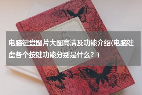 电脑键盘图片大图高清及功能介绍(电脑键盘各个按键功能分别是什么？)