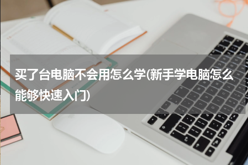 买了台电脑不会用怎么学(新手学电脑怎么能够快速入门)