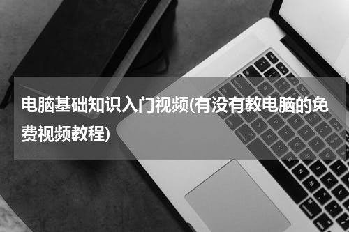 电脑基础知识入门视频(有没有教电脑的免费视频教程)