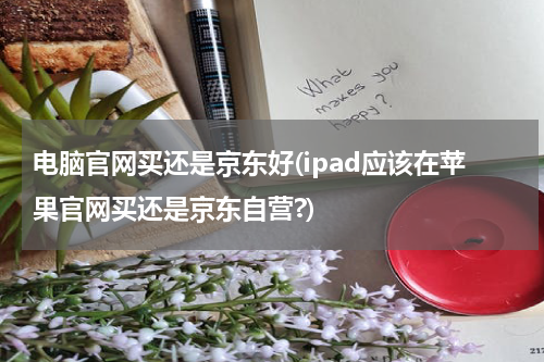 电脑官网买还是京东好(ipad应该在苹果官网买还是京东自营?)